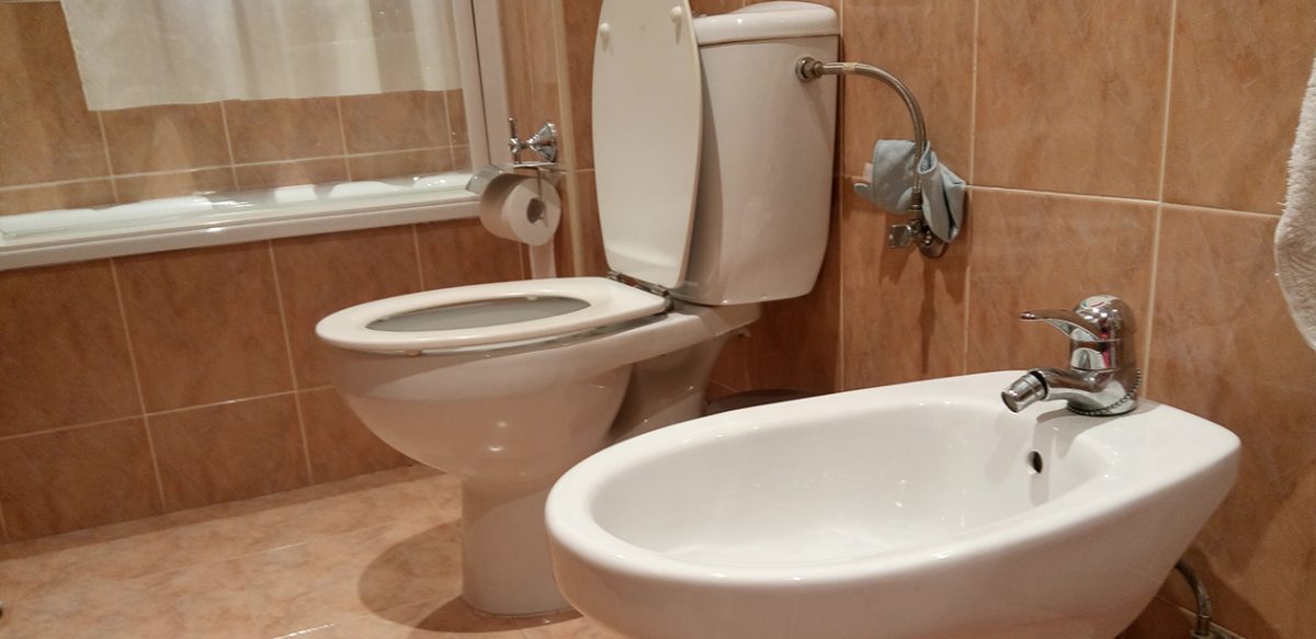 Reparacion del WC y posibles averias